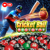 6613 casino Roulette Bóng Cricket